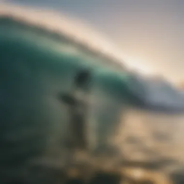 Surfers navigating waves at sunset