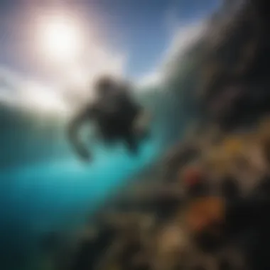 Diver in Hawaiian Waters Diver exploring vibrant underwater ecosystem in warm Hawaiian waters