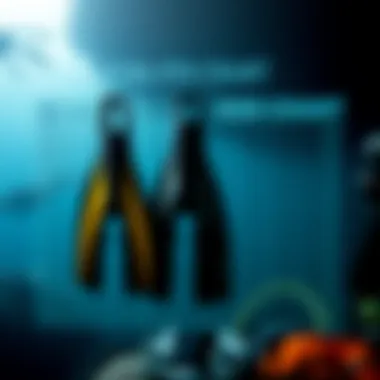 Scuba Fin Size Chart Overview Chart detailing scuba fin sizing for various diver categories