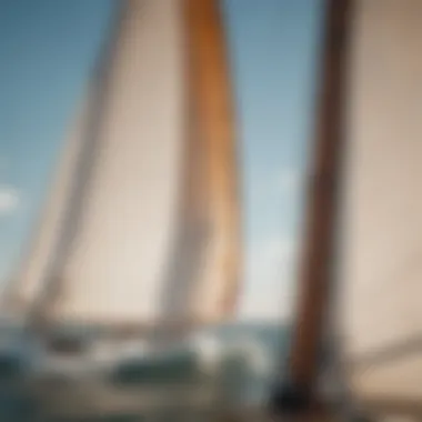 Materials Used in Sails A comparison of materials used in sail construction highlighting their properties.