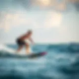 Understanding the Financial Aspects of Skimboards Introduction