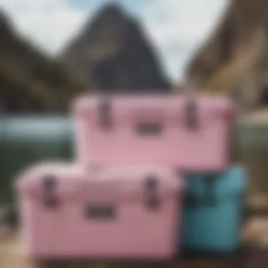 Comparison of Coolers: Yeti vs Competitors Comparison of Harbor Pink Yeti Cooler with competitor coolers