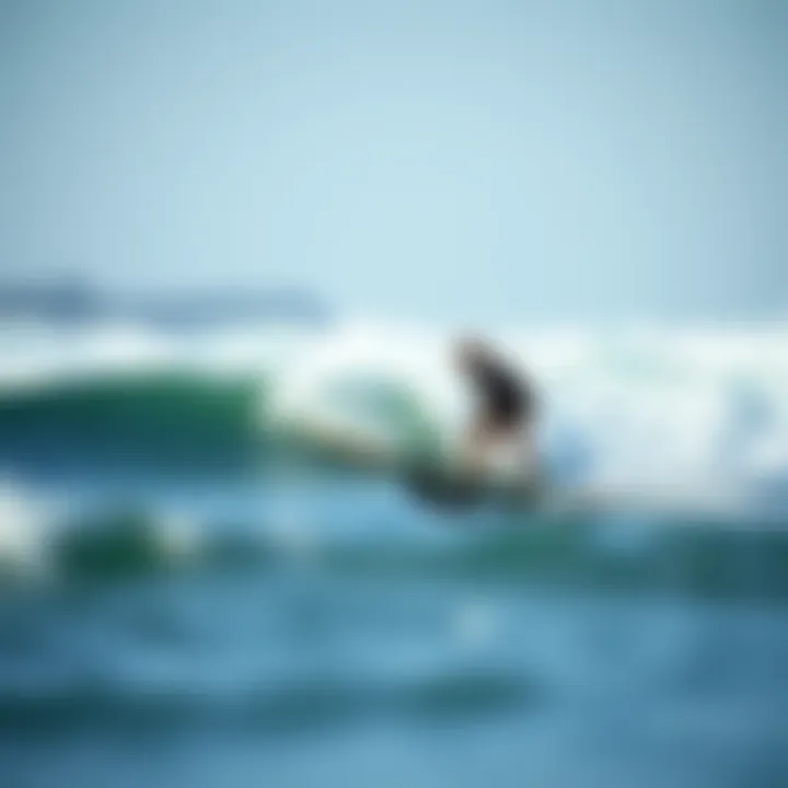 Understanding the Hydrofoil Surfboard: Mechanisms and Dynamics Summary