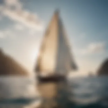 Types of Sail Designs Comparison of various sail designs