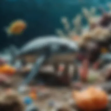 Close-up of marine life affected by plastic waste