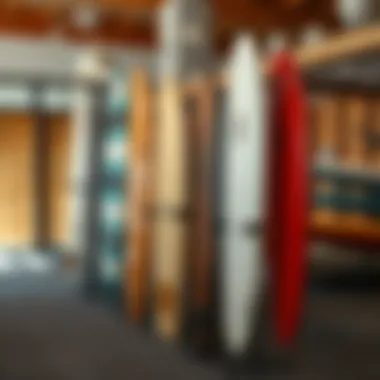 Diverse Designs of Surfboard Display Stands Variety of surfboard display stands showcasing designs