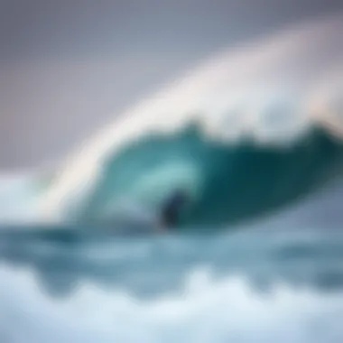 Notable Wave Height Forecast: Understanding the Dynamics and Implications Notable Wave Height Forecast: Understanding the Dynamics and Implications
