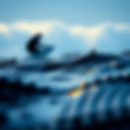 What is Killing Our Oceans Introduction